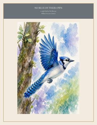 Cover of NO BLUE OF THEIR OWN, a night book of the blue jay, by William Vincent Carleton