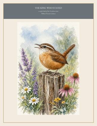Cover of THE KING WHO STAYED, a night book of the Carolina wren, by William Vincent Carleton
