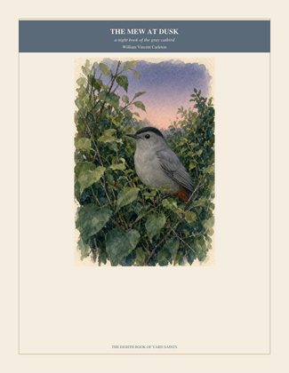 Cover of THE MEW AT DUSK, a night book of the gray catbird, by William Vincent Carleton
