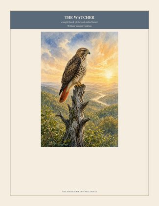 Cover of THE WATCHER, a night book of the red-tailed hawk, by William Vincent Carleton
