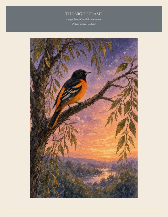 Cover of THE NIGHT FLAME, a night book of the Baltimore oriole, by William Vincent Carleton