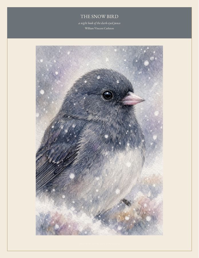 Cover of THE SNOW BIRD, a night book of the dark-eyed junco, by William Vincent Carleton