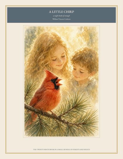 Cover of A Little Chirp, a night book of enough, by William Vincent Carleton