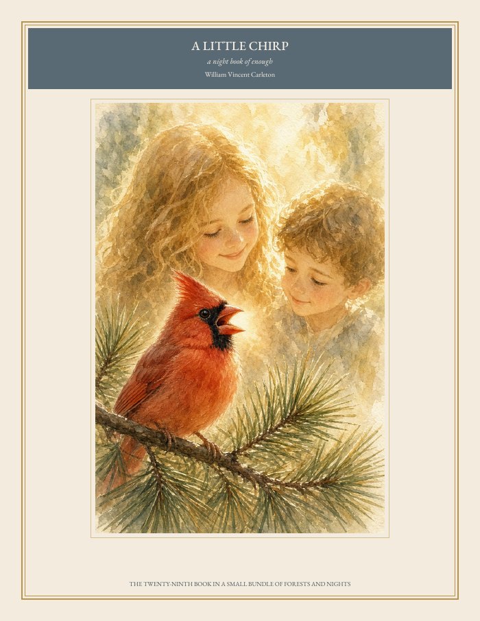 Cover of A Little Chirp, a night book of enough, by William Vincent Carleton