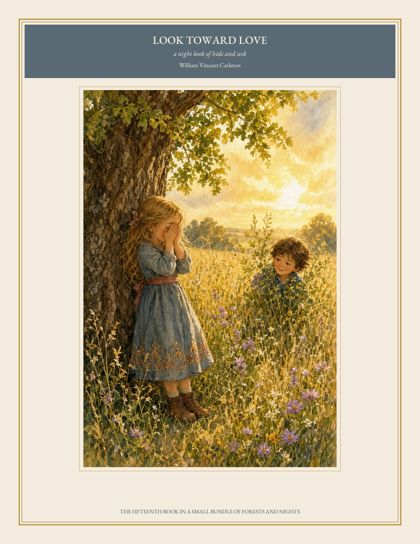 Cover of Look Toward Love, a night book of hide and seek, by William Vincent Carleton