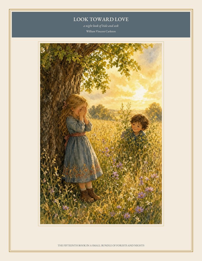 Cover of Look Toward Love, a night book of hide and seek, by William Vincent Carleton
