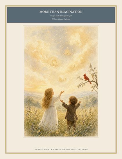 Cover of More Than Imagination, a night book of the greater gift, by William Vincent Carleton