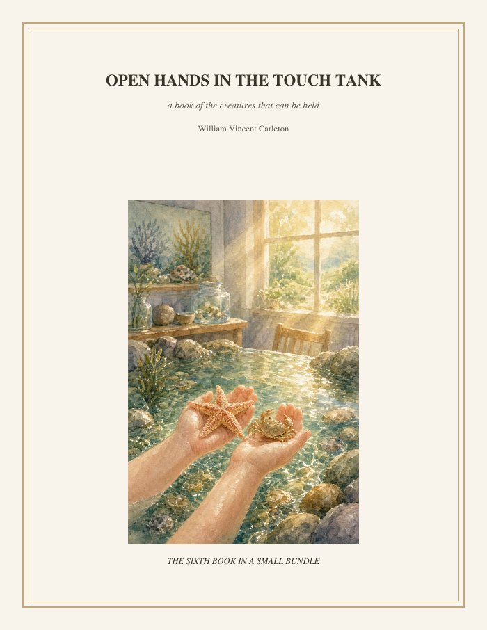 Cover of Open Hands in the Touch Tank, a book of the creatures that can be held, by William Vincent Carleton