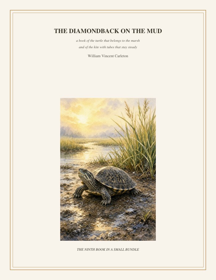 Cover of The Diamondback on the Mud, a book of the turtle that belongs to the marsh and of the kite with tubes that stay steady, by William Vincent Carleton