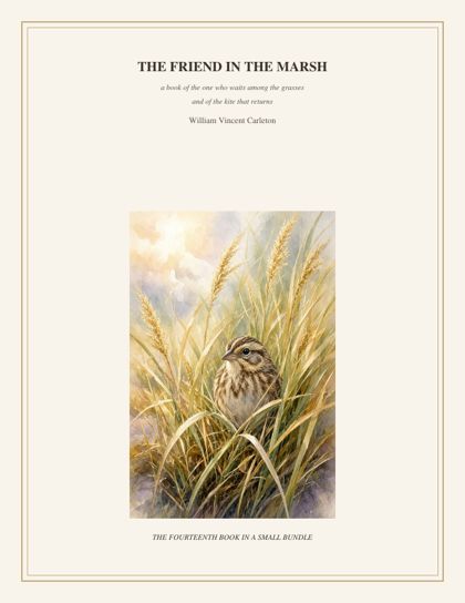 Cover of The Friend in the Marsh, a book of the one who waits among the grasses and of the kite that returns, by William Vincent Carleton