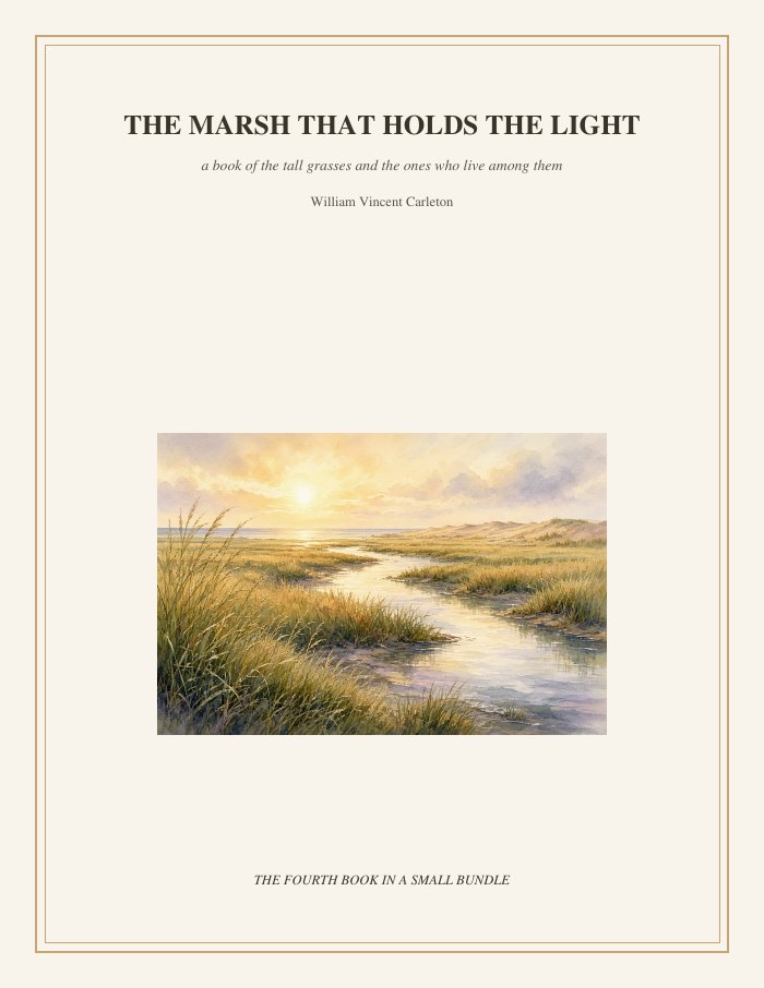 Cover of The Marsh That Holds the Light, a book of the tall grasses and the ones who live among them, by William Vincent Carleton