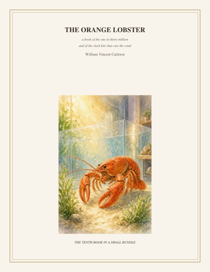 Cover of The Orange Lobster, a book of the one in thirty million and of the sleek kite that cuts the wind, by William Vincent Carleton