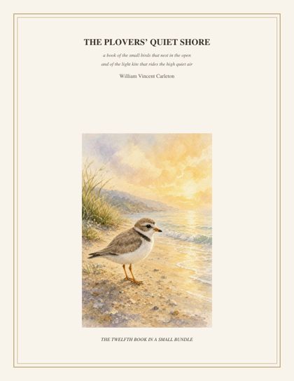 Cover of The Plovers' Quiet Shore, a book of the small birds that nest in the open and of the light kite that rides the high quiet air, by William Vincent Carleton