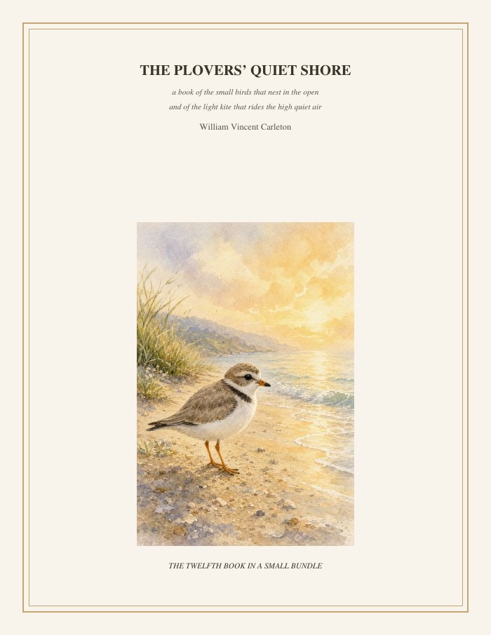 Cover of The Plovers' Quiet Shore, a book of the small birds that nest in the open and of the light kite that rides the high quiet air, by William Vincent Carleton