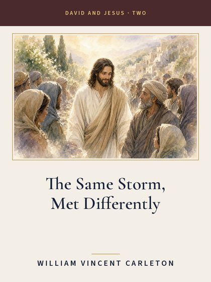 Cover of The Same Storm, Met Differently, by William Vincent Carleton