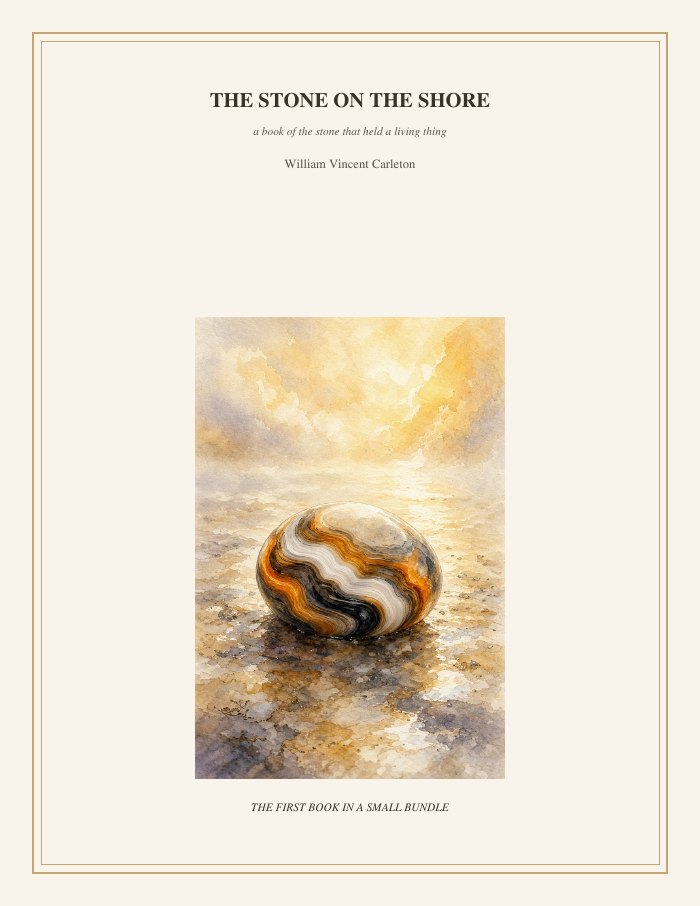 Cover of The Stone on the Shore, a book of the stone that held a living thing, by William Vincent Carleton
